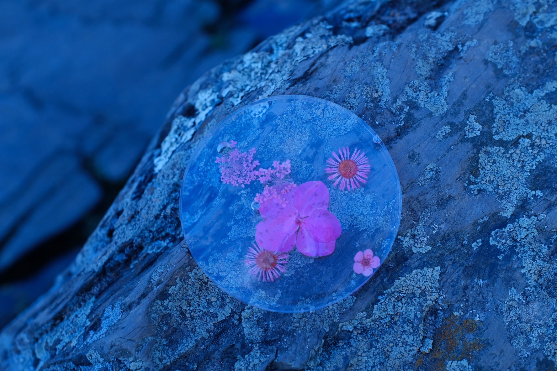 Macro Stamp Fleural