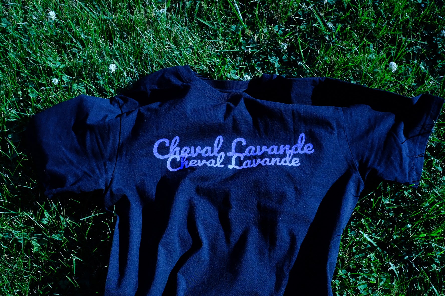 Double Take Tee